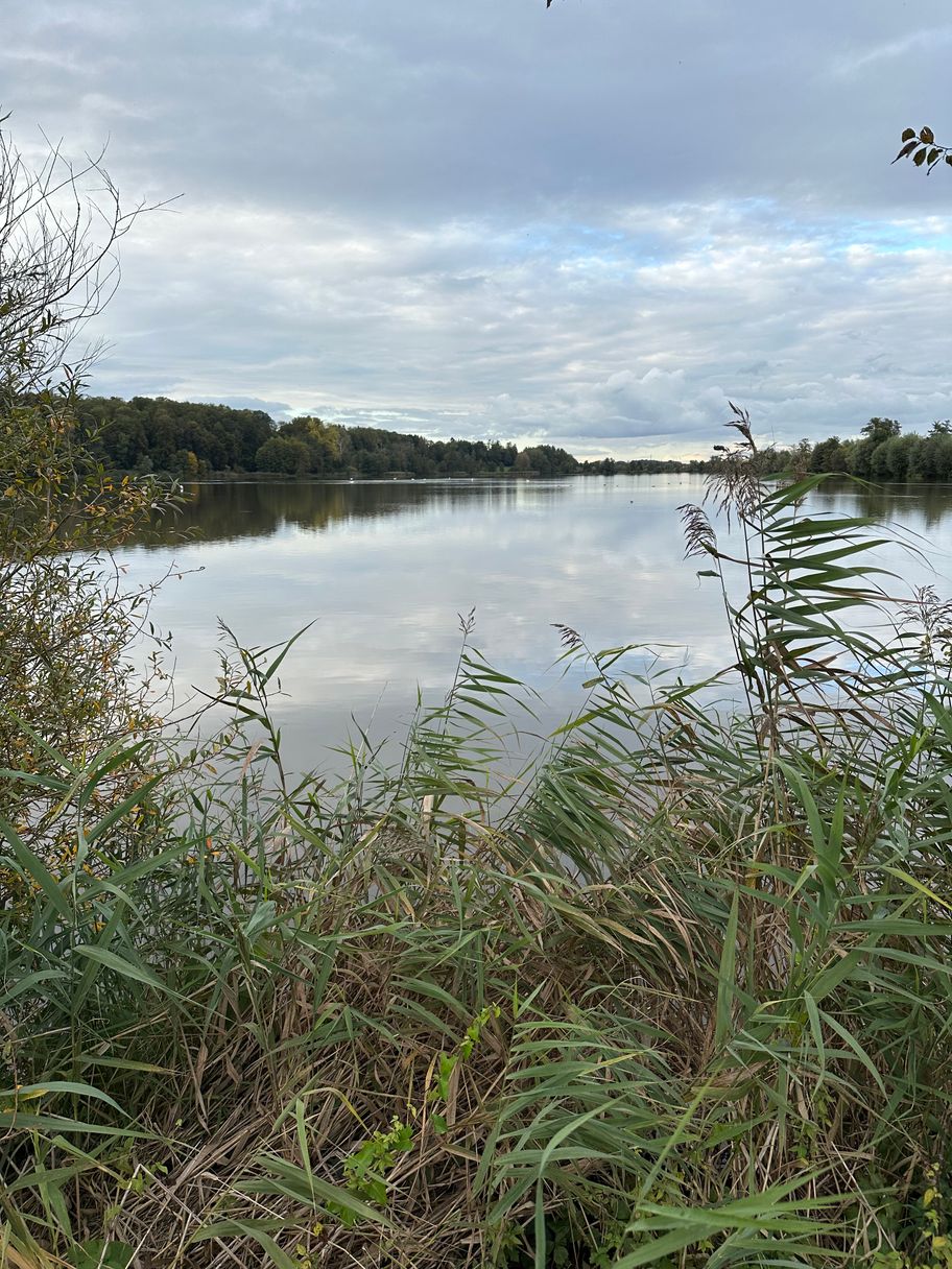 Blick auf den Oberegger Stausee