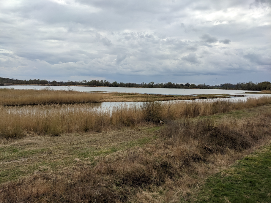 Ausblick auf Schurrsee