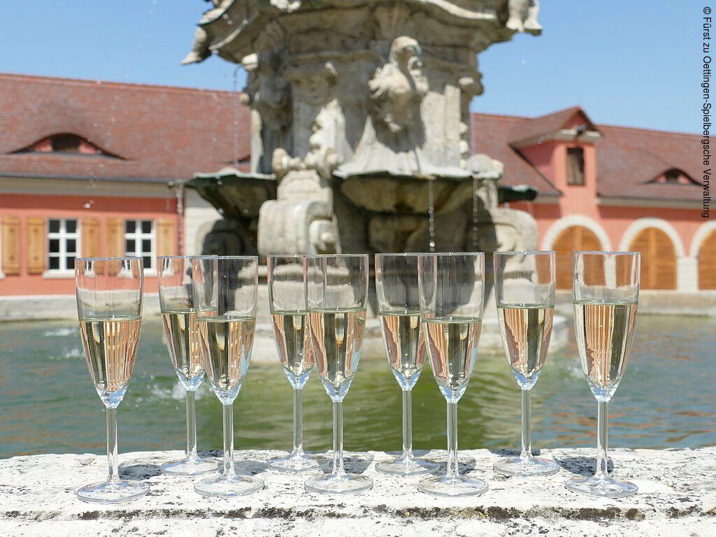 Schloss &amp; Schampus mit VIO.LENA