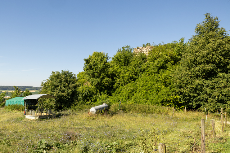 Ruine "Alter Thurm" Syrgenstein