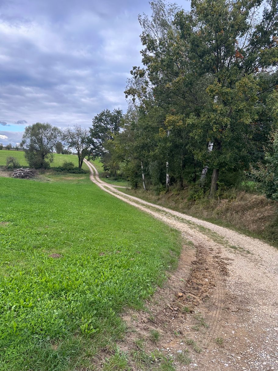 Weg in Richtung des Glaserhofs