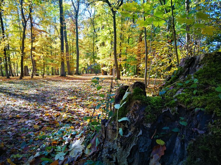 Städtische Anlagen Bürgerpark Günzburg