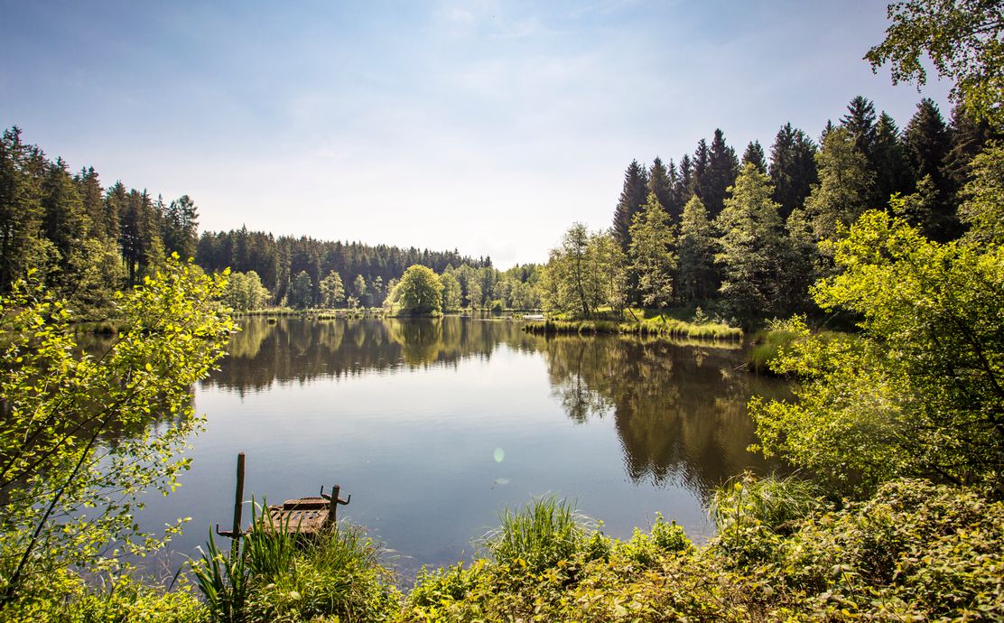 Streifzüge Weiergehauweg Autenried