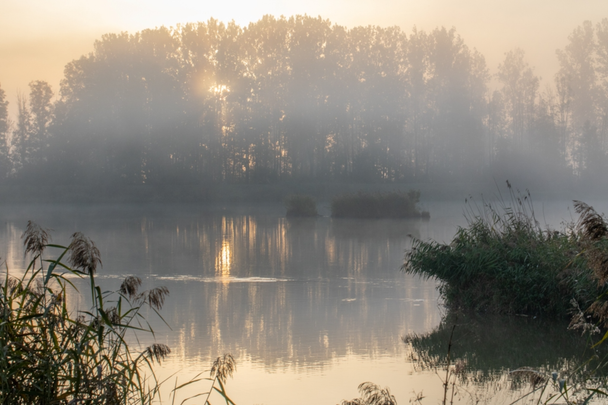 Donau bei Gremheim im Nebel