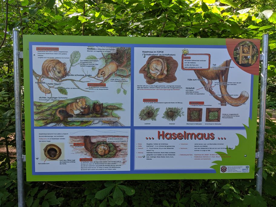 Baumheilpfad Burtenbach