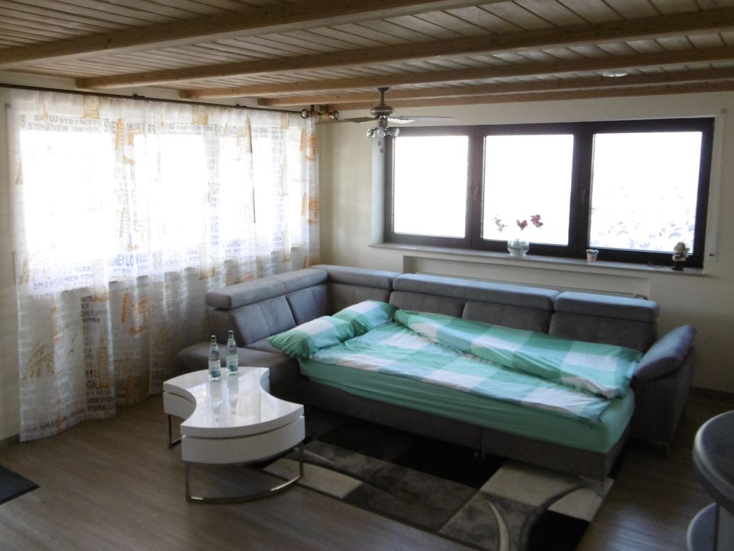 Wohnzimmer / WOHNEN / zusätzliche Schlafmöglichkeit