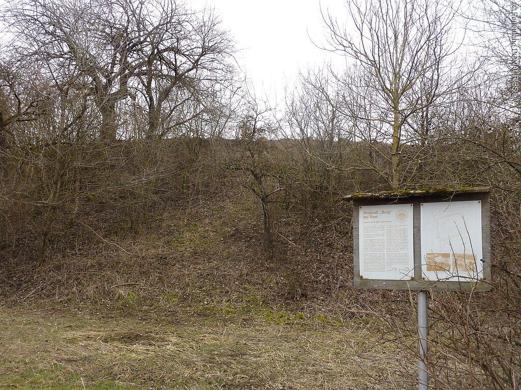 Wallanlage Ried
