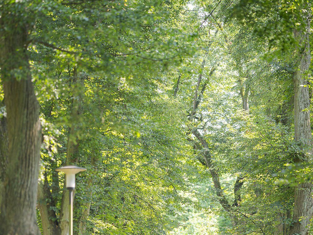 17613449_donauwoerth-promenade_dd.jpg