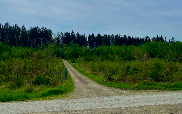 Waldweg Richtung Gaismarkt