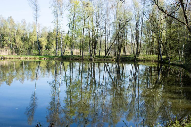 Günzrieder Weiher