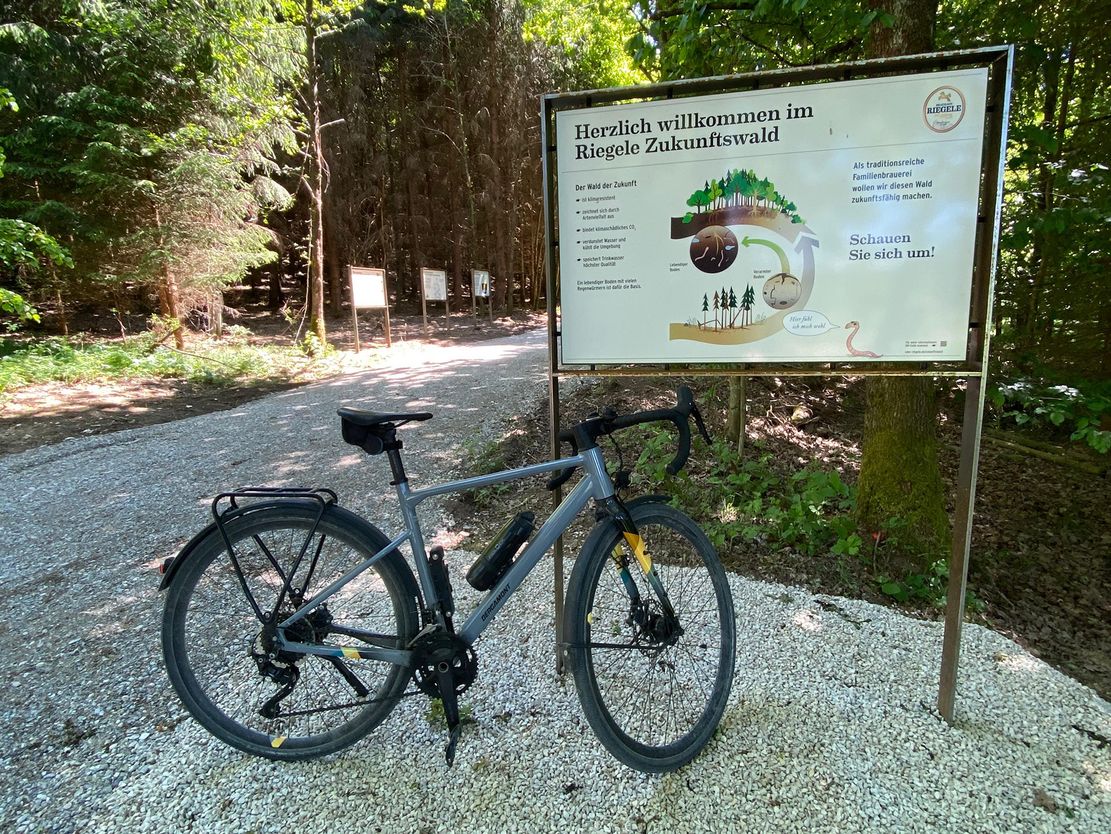 Riegele - Zukunftswaldtour