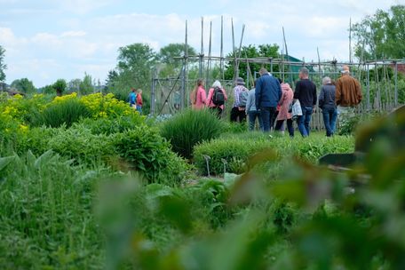 Sabine Spiegler/Stiftung Gartenkultur