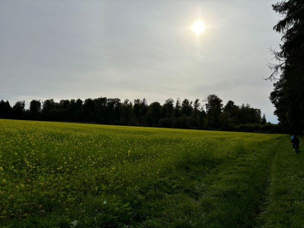 Ausblick