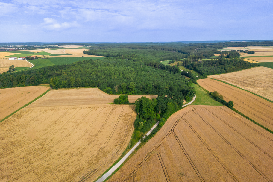 Naherholungsgebiet Pfannental