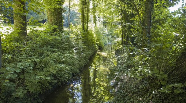 Stadtpark in Senden