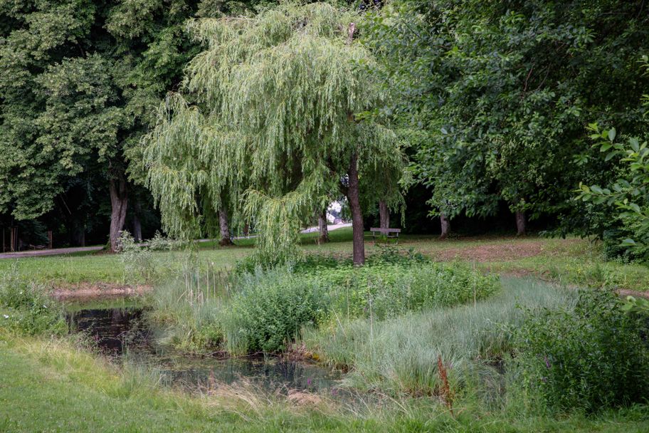 Meditationsweg, Welden_cc by sa_Julia Pietsch (3).jpg