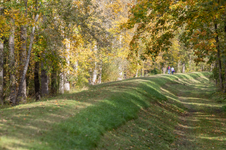 Damm hinter Steinheim