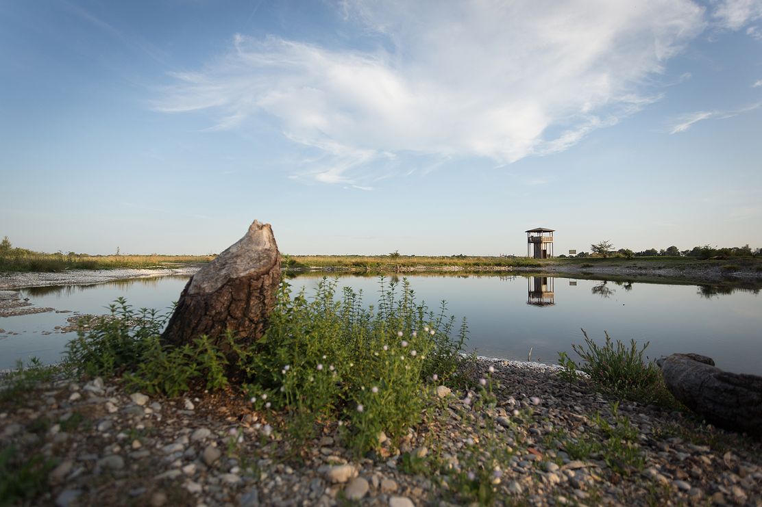 Mooswaldsee Günzburg