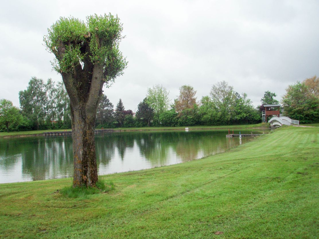 Freibad Thannhausen