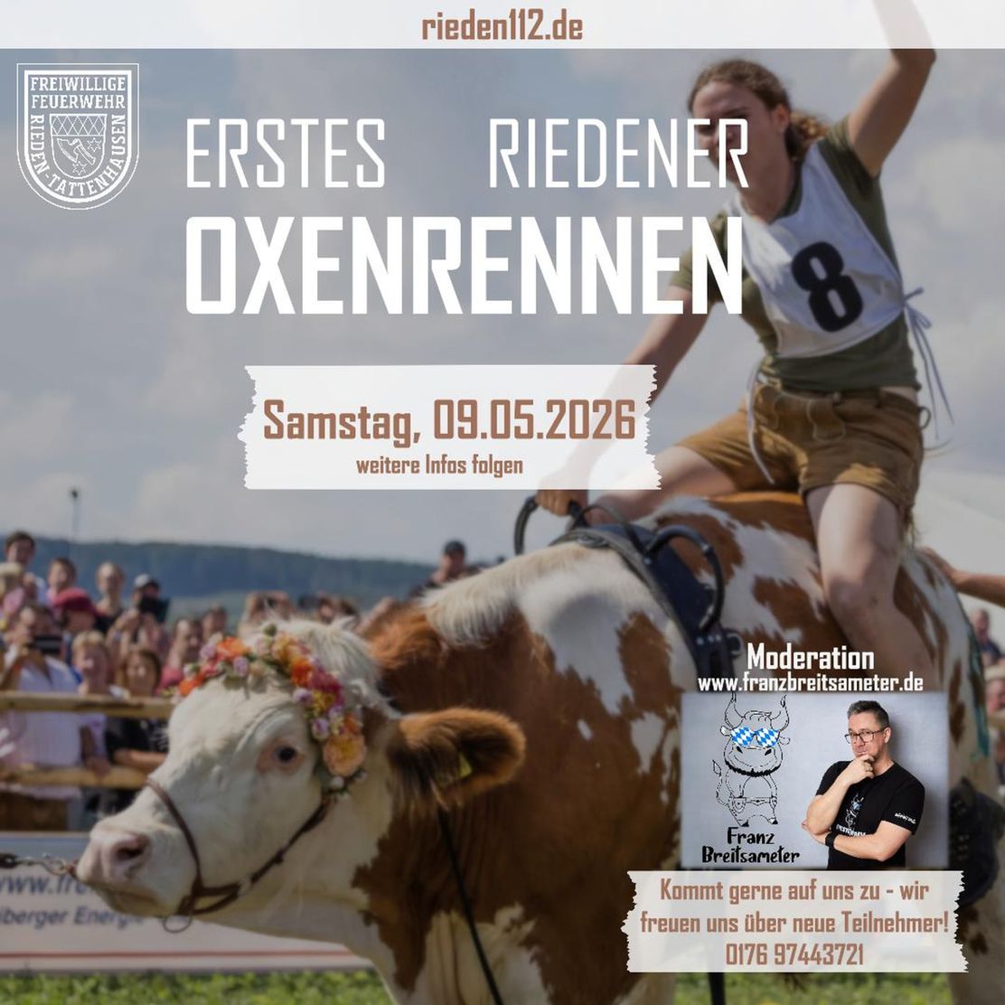 Oxenrennen