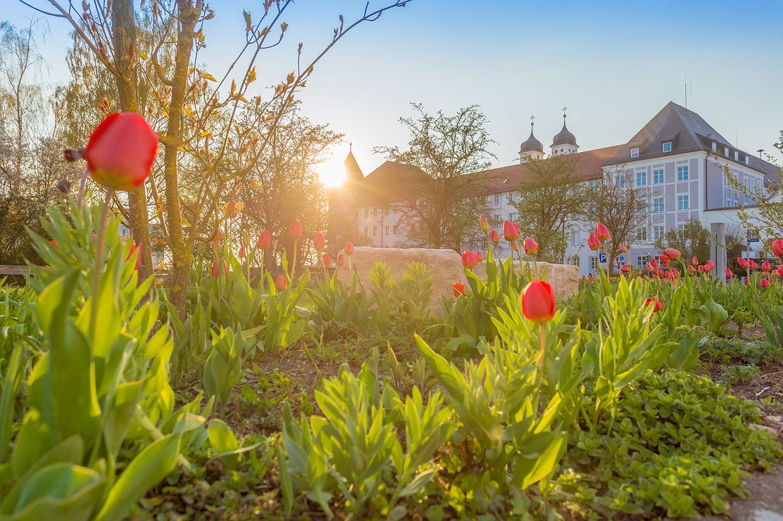 Günzburg im Frühlingslicht – ein erfrischender Stadtspaziergang