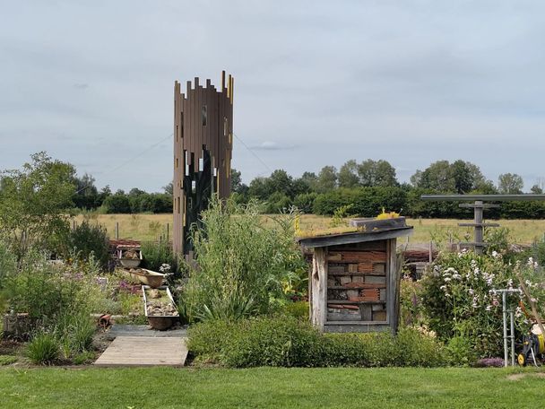 Insektengarten.jpg