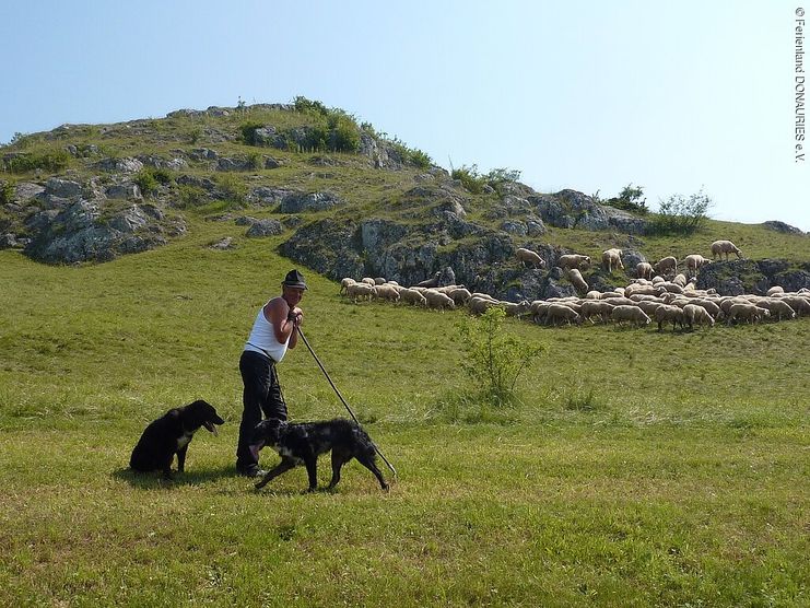 Schäferweg