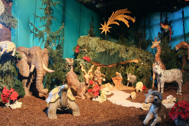 Weihnachtskrippe im Zoo