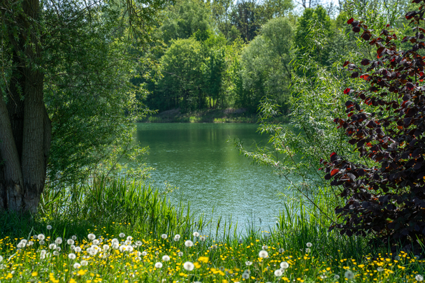Wasserblicke im DonAUwald