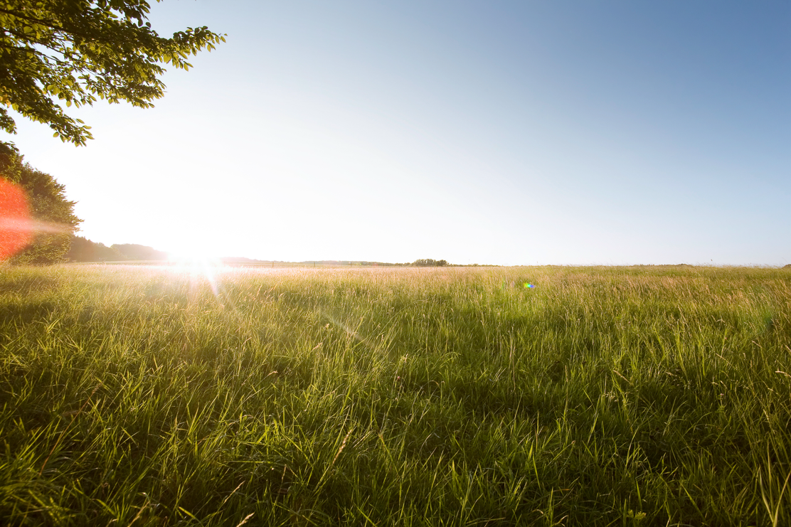 Goldene Wiesen am Goldberg