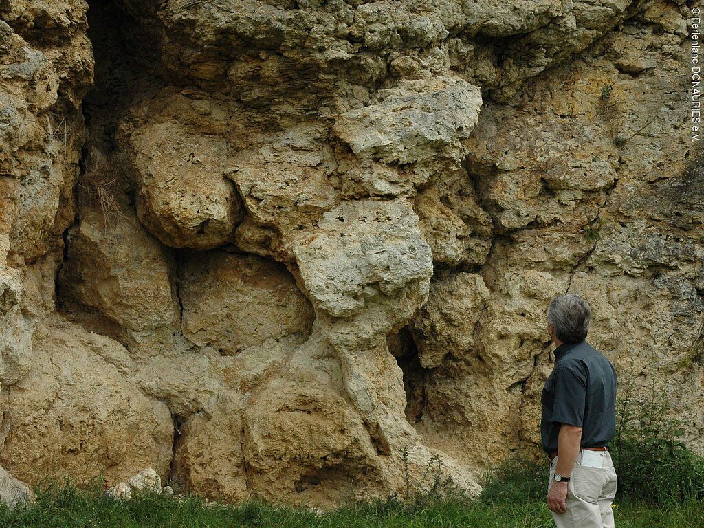 Riesseekalke am Büschelberg