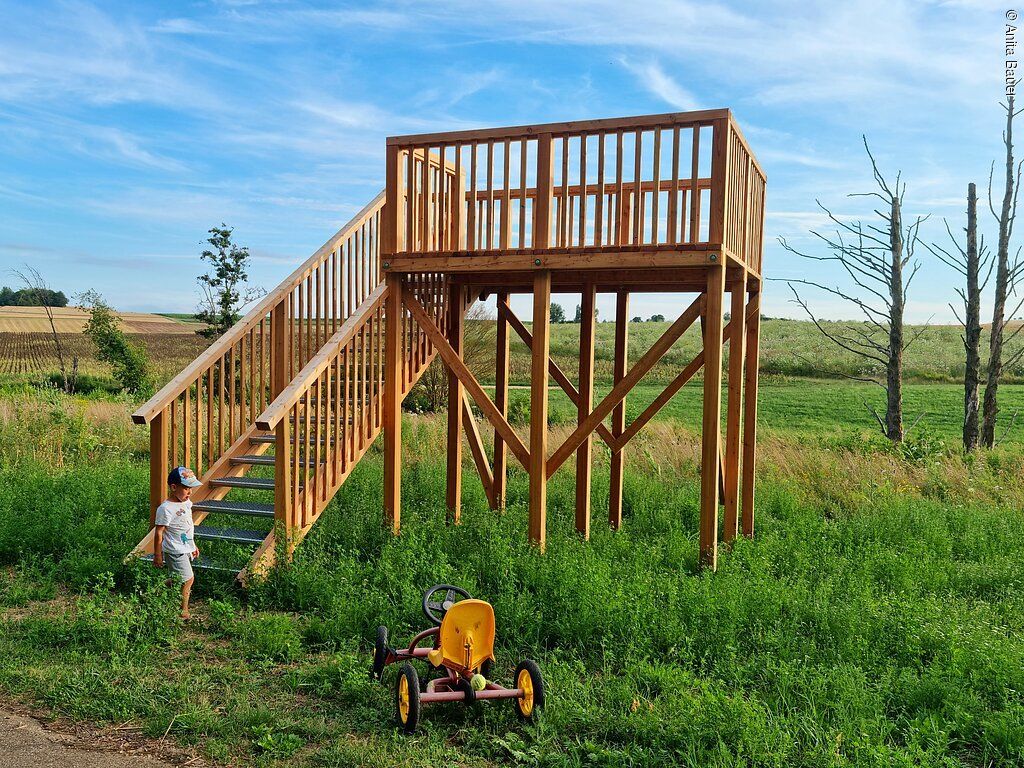 Biber- und Baumpfad Benzenzimmern