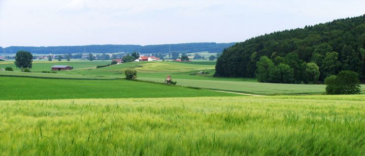 Mariensteig-Tour zwischen Kellmünz und Altenstadt