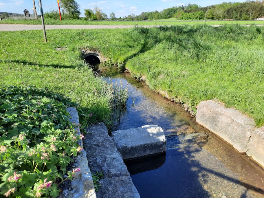 Kneippbecken Mohrenhausen