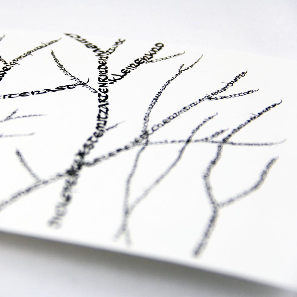 Bild-Welten. Dichten mit Ornament