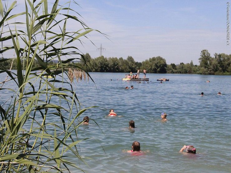 Baggersee Hamlar