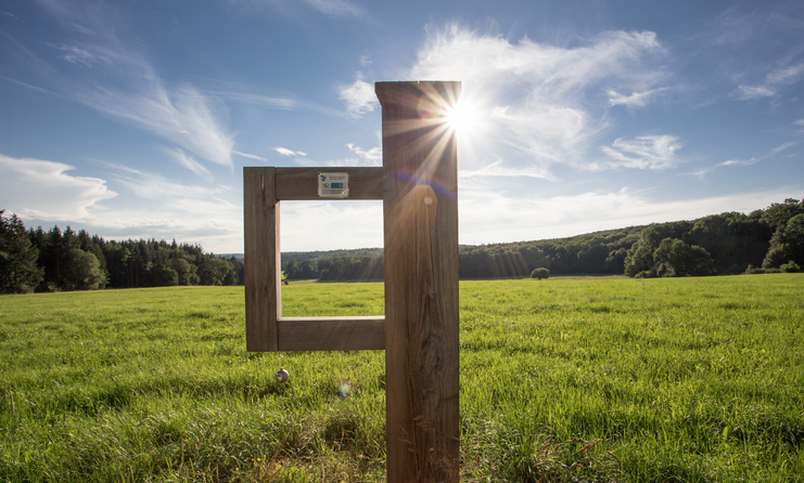 Waldfenster