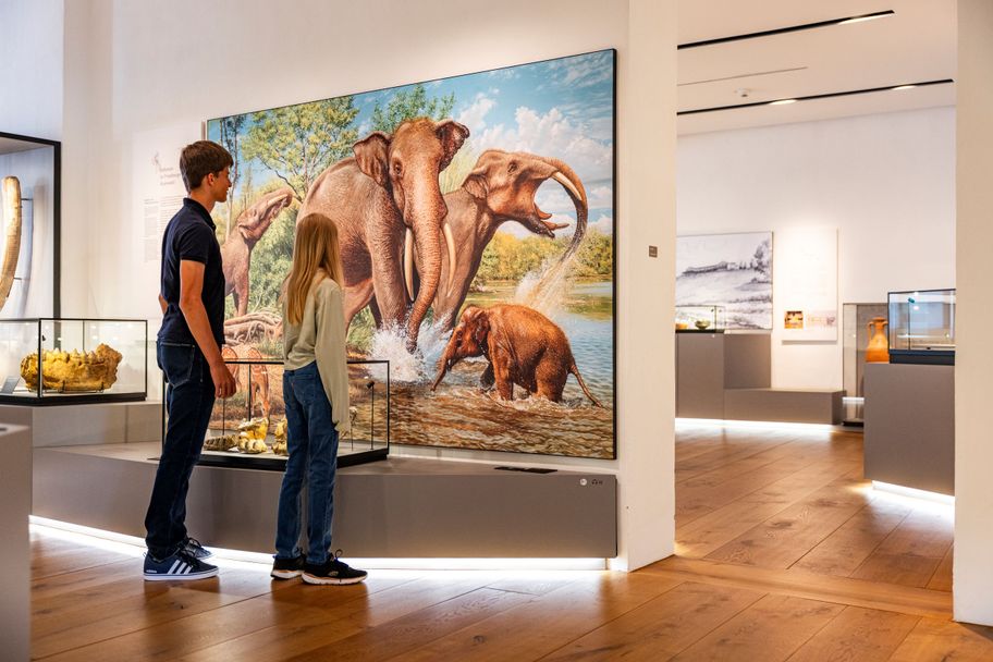 Besucher in der Archäologie im Museum im Wittelsbacher Schloss Friedberg, Foto Norbert Liesz.jpg