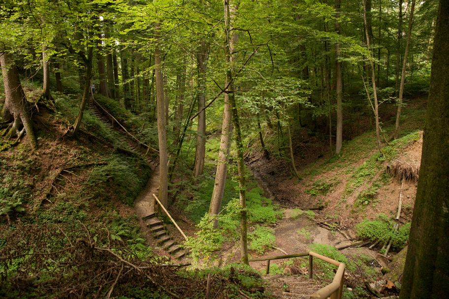 Naturerlebnispfad Hansenhohl