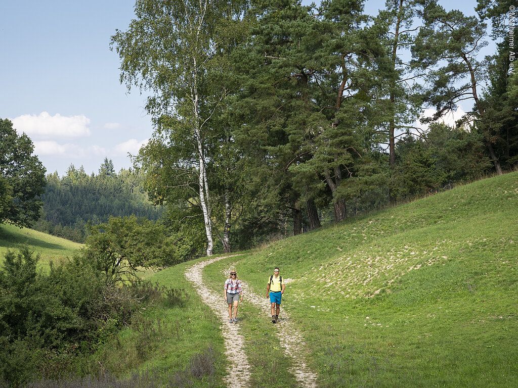 Röglinger Nadlerrundweg