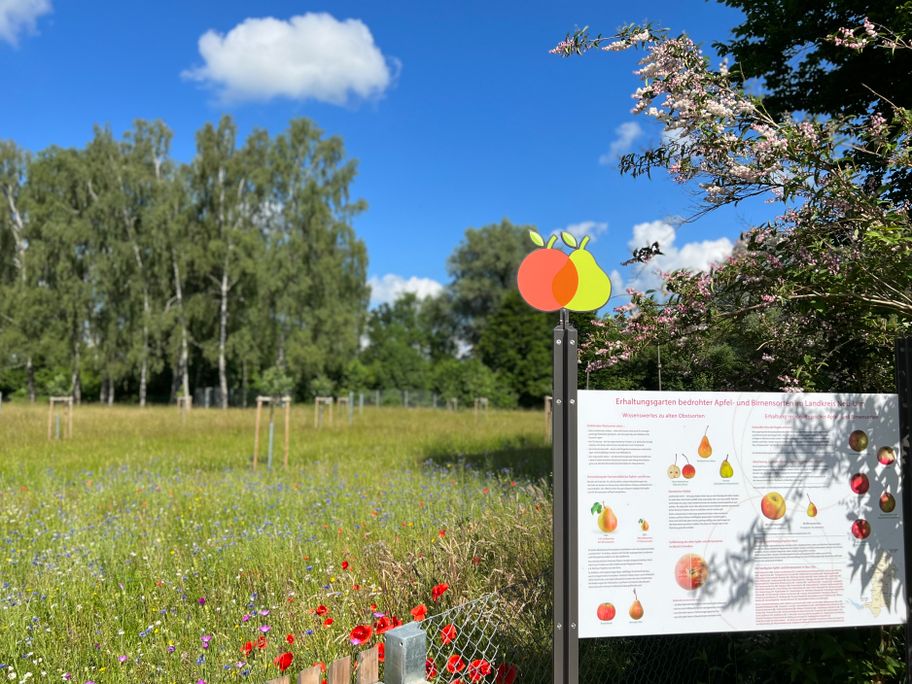 Obstsortenerhaltungsgarten im Kreismustergarten