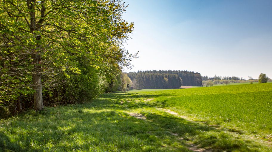 Streifzüge Weiergehauweg Autenried