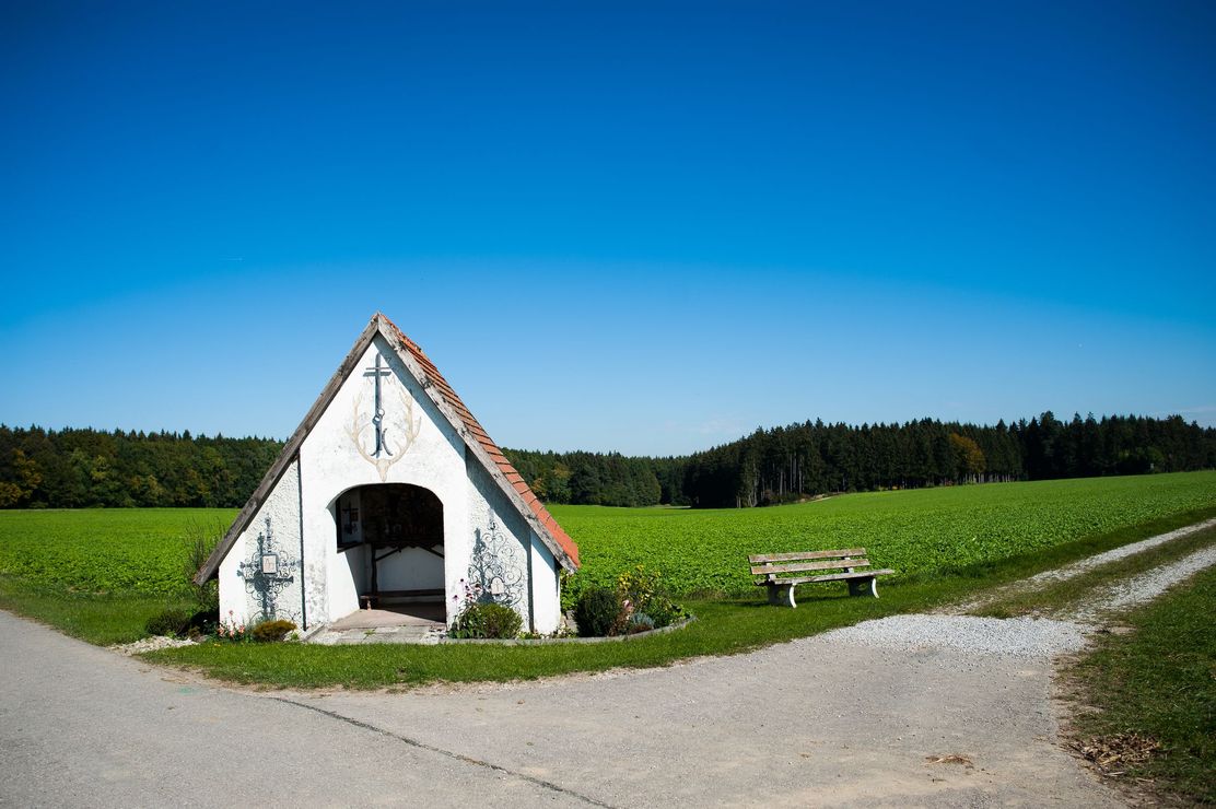 Im Eurasburger Forst