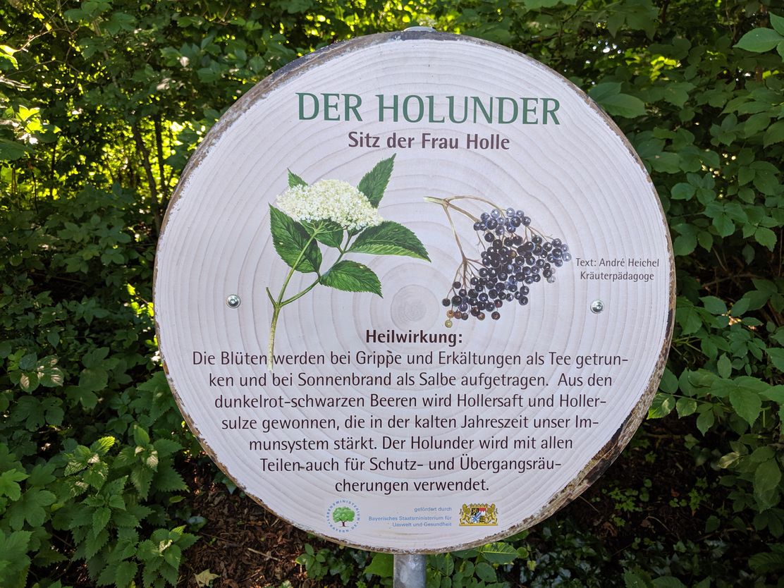 Baumheilpfad Burtenbach