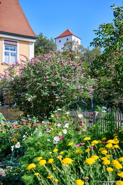 Stadtführung: "Wehrhaftes Friedberg"