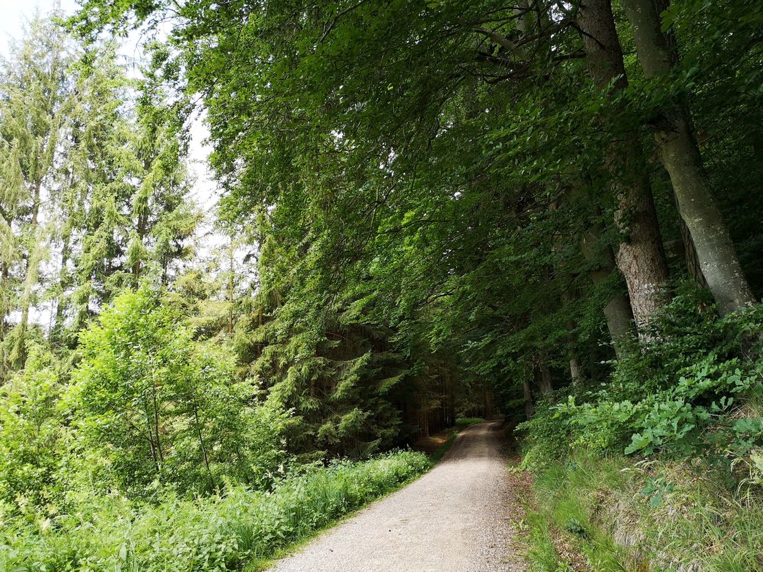 Tag des offenen Denkmals - Bronzezeitliche Grabhügel auf der Flur Leitach